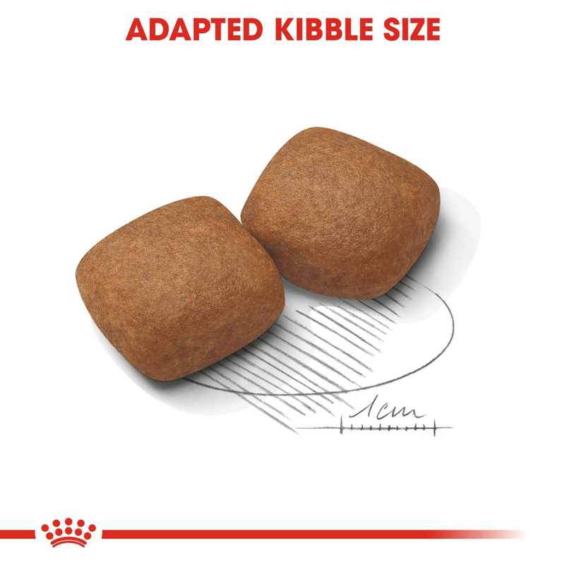 Giant Royal Canin X-Large Breed Junior Dog Food