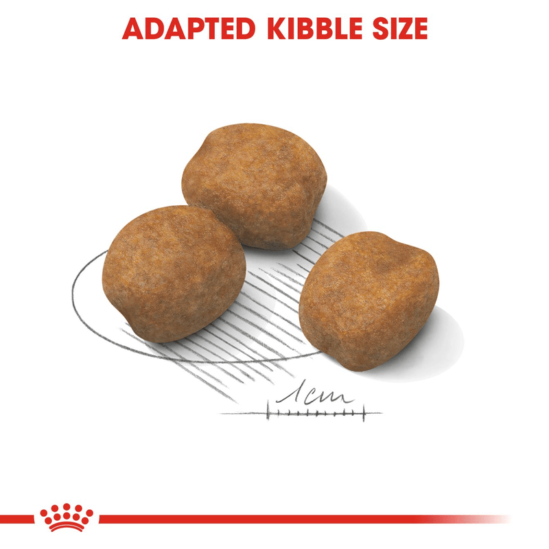 Giant Royal Canine X-Large Breed Puppy Food