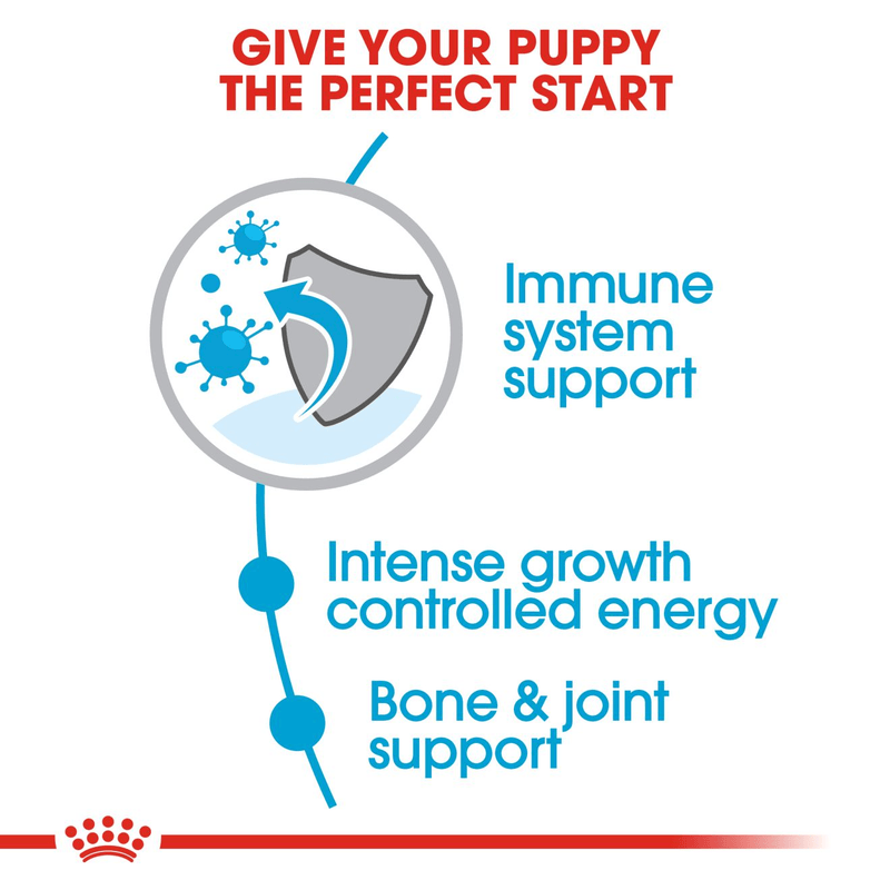 Giant Royal Canine X-Large Breed Puppy Food