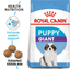 Giant Royal Canine X-Large Breed Puppy Food