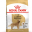 Golden Retriever Royal Canin Adult Dog Food