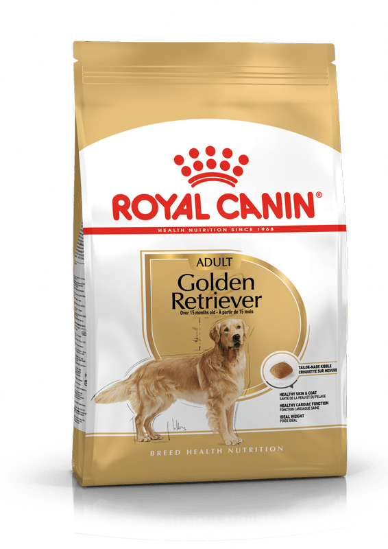 Golden Retriever Royal Canin Adult Dog Food