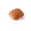 Golden Retriever Royal Canin Adult Dog Food