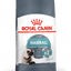 Hairball Care Royal Canin All Breeds Adult Cat Food