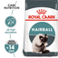 Hairball Care Royal Canin All Breeds Adult Cat Food