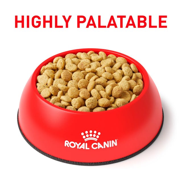 Satiety Weight Management Royal Canin All Breeds Adult Cat Food