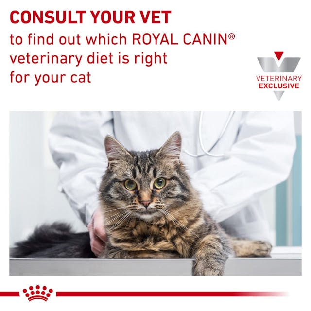 Satiety Weight Management Royal Canin All Breeds Adult Cat Food