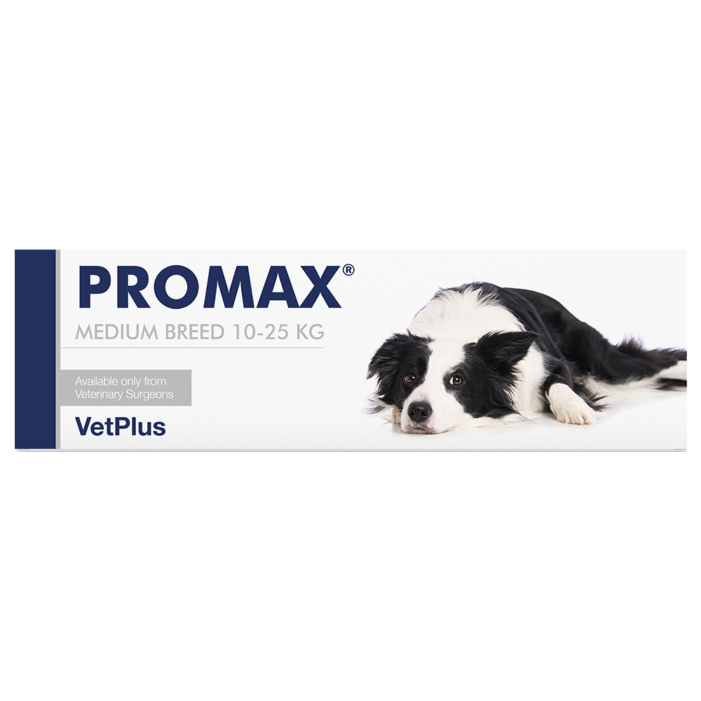 Vet-Plus PRO-MAX Medium Breed Adult Dog & Cat Paste - 18ml Syringe