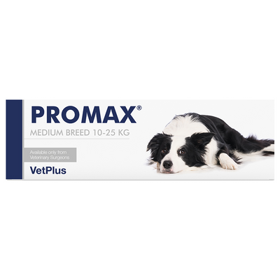 Vet-Plus PRO-MAX Medium Breed Adult Dog & Cat Paste - 18ml Syringe