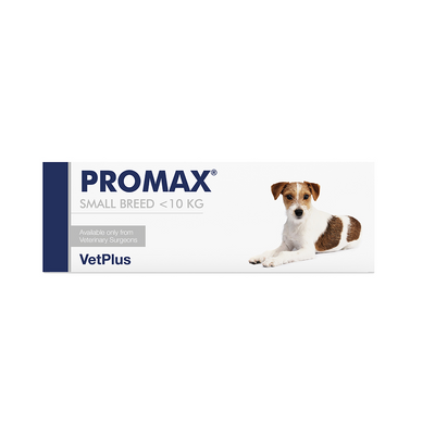 Vet-Plus PRO-MAX Small Breed Adult Dog & Cat Paste - 9ml Syringe
