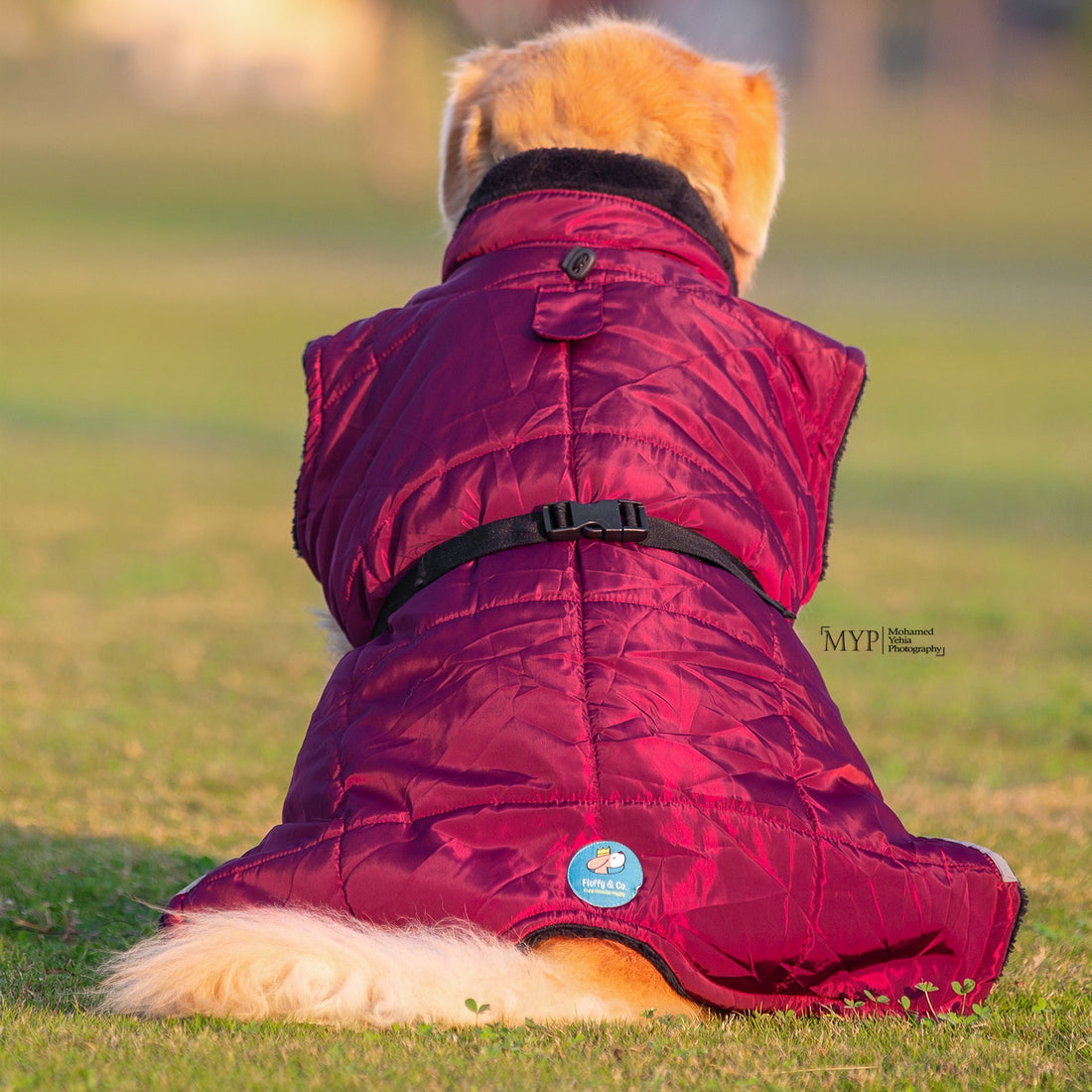 Burgundy Coat