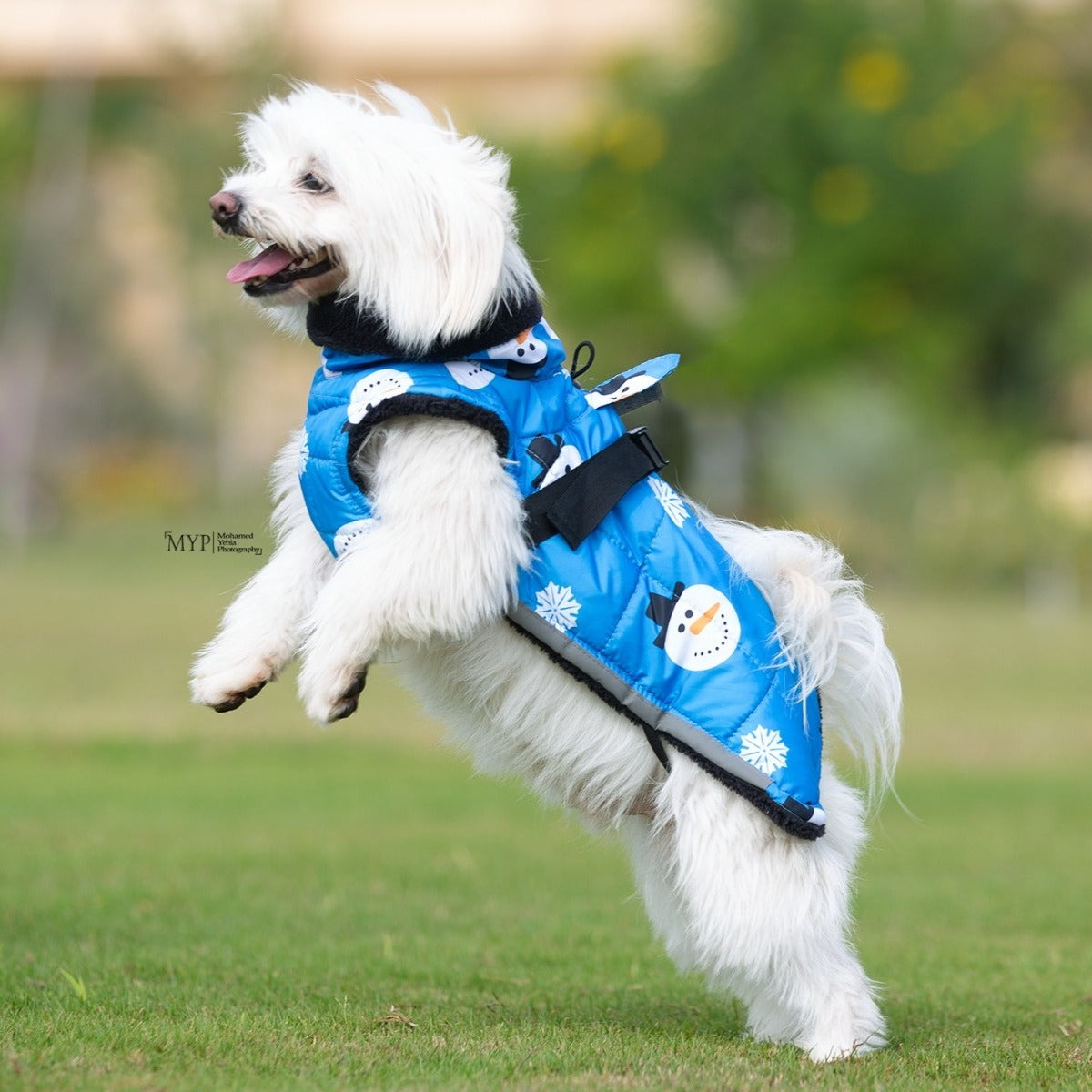“Snowman” Fluffy & Co. Dog Coat