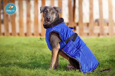 “Blue” Fluffy & Co. Dog Coat
