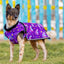 “Rainbow” Fluffy & Co. Dog Coat