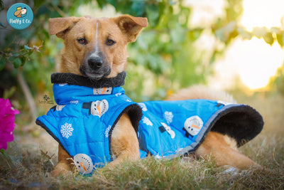 “Snowman” Fluffy & Co. Dog Coat