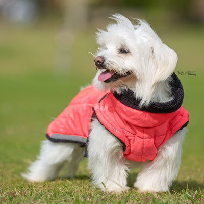 “Pink” Fluffy & Co. Dog Coat