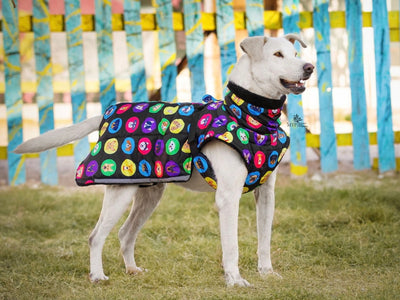 “Dog Faces” Fluffy & Co. Dog Coat