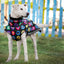 “Dog Faces” Fluffy & Co. Dog Coat