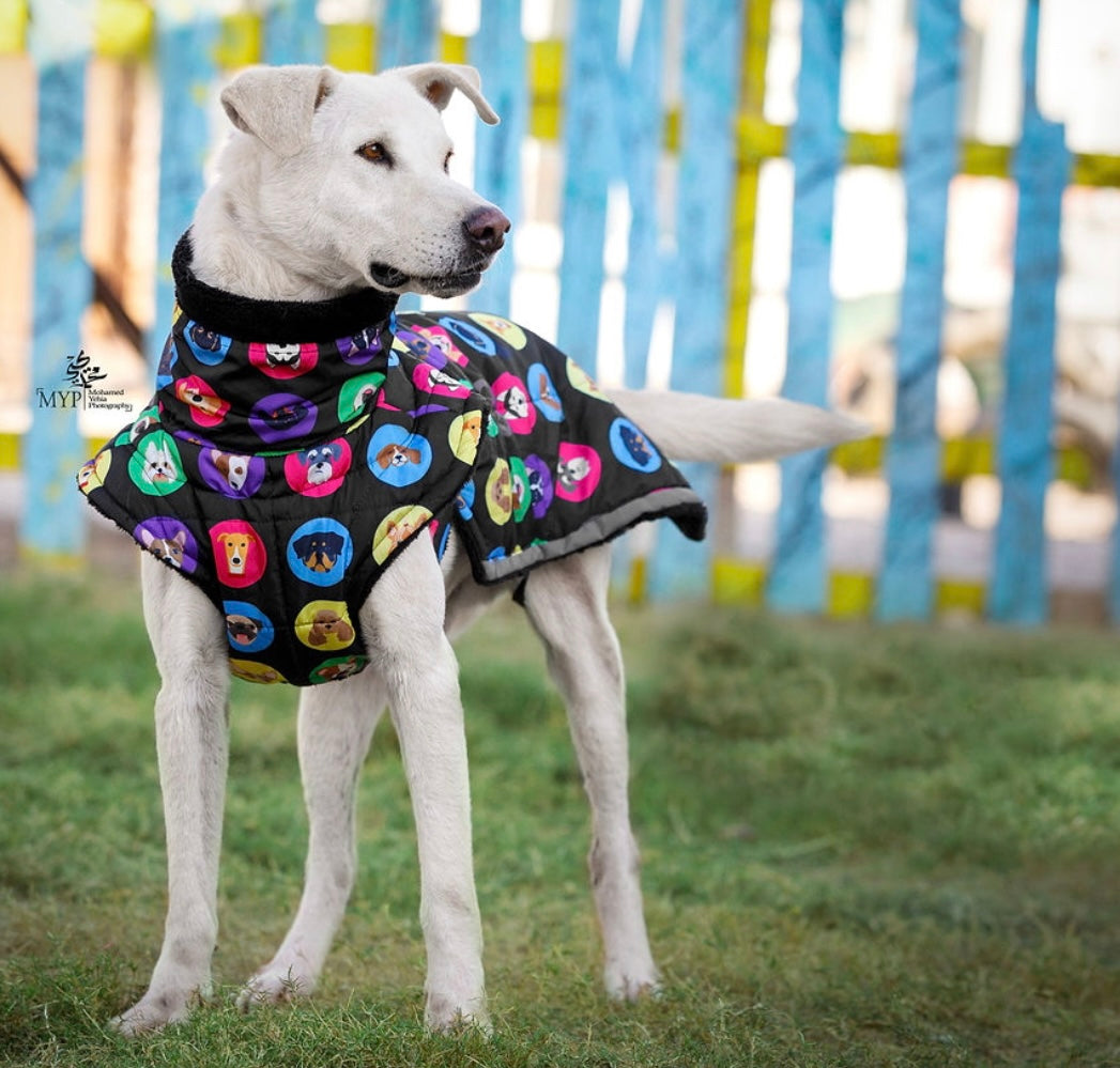 “Dog Faces” Fluffy & Co. Dog Coat
