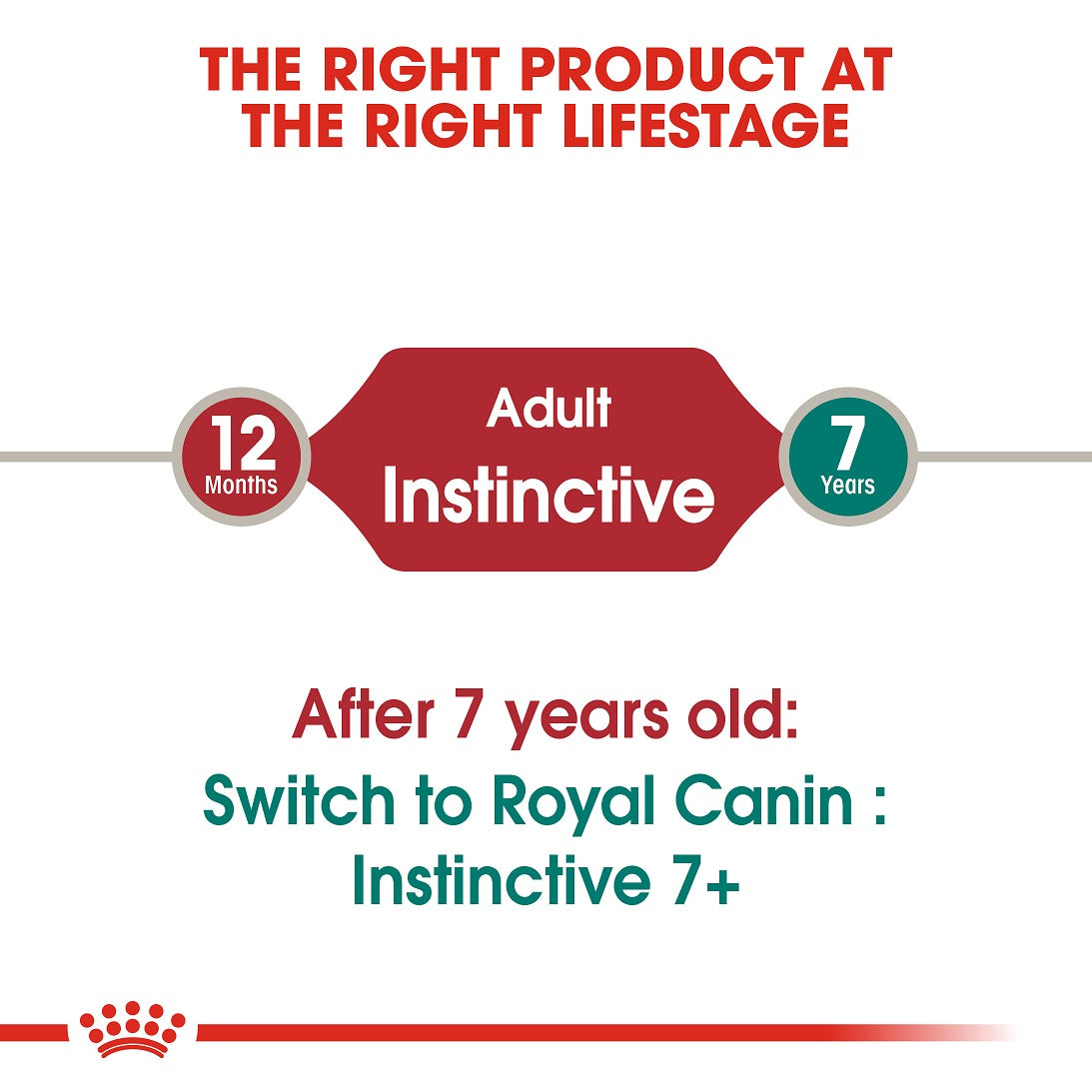 Instinctive Wet Loaf 85g Royal Canin All Breeds Adult Cat Food