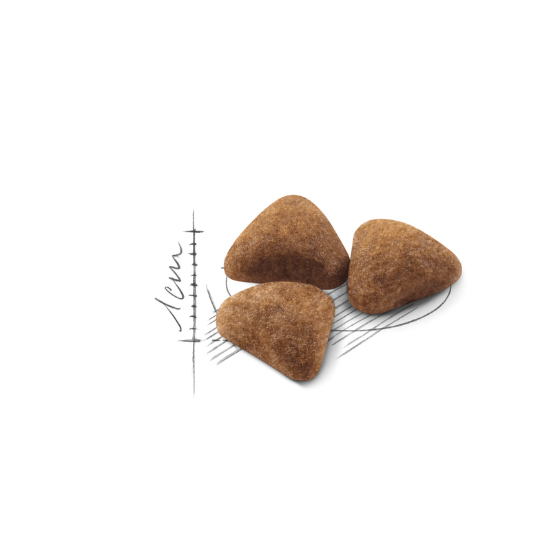 Indoor 27 Royal Canin All Breeds Adult Cat Food