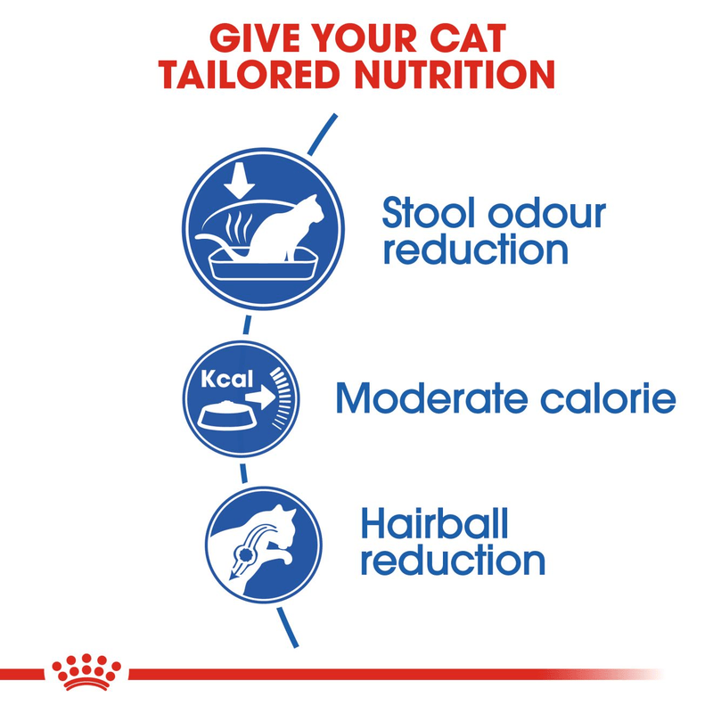 Indoor 27 Royal Canin All Breeds Adult Cat Food
