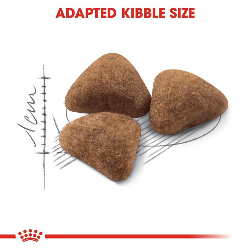 Indoor 27 Royal Canin All Breeds Adult Cat Food