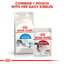 Indoor 27 Royal Canin All Breeds Adult Cat Food