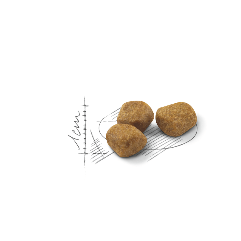 Indoor 7+ Royal Canin All Breeds Mature Cat Food