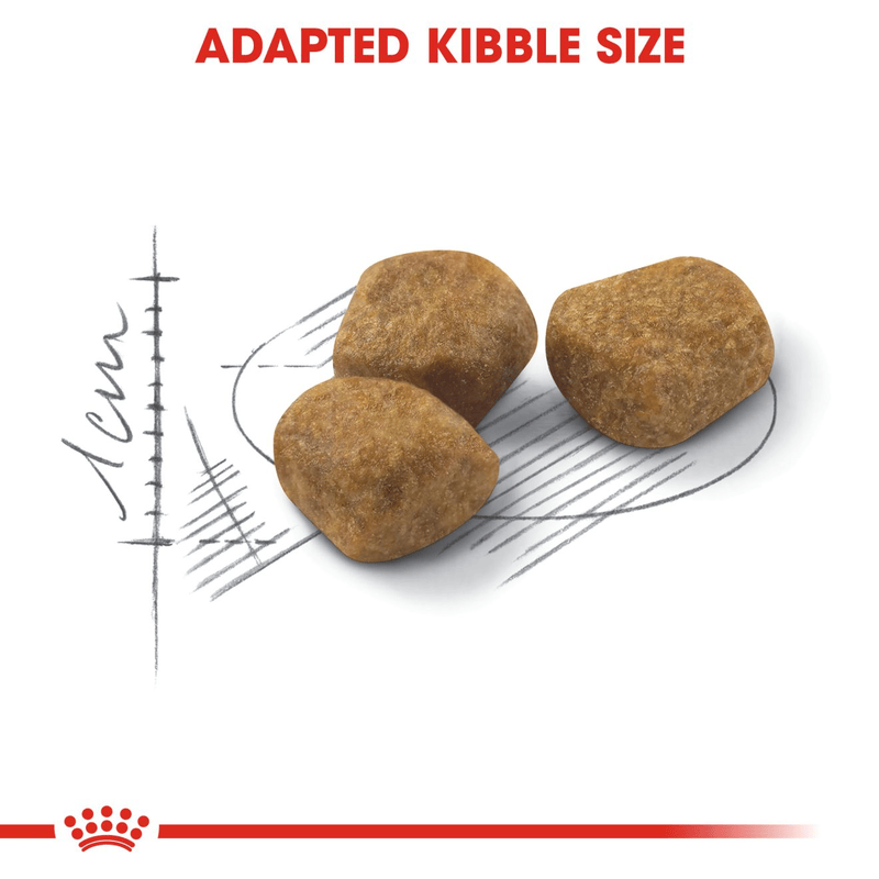 Indoor 7+ Royal Canin All Breeds Mature Cat Food