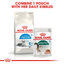Indoor 7+ Royal Canin All Breeds Mature Cat Food