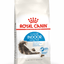 Indoor Long-Hair Royal Canin Adult Cat Food