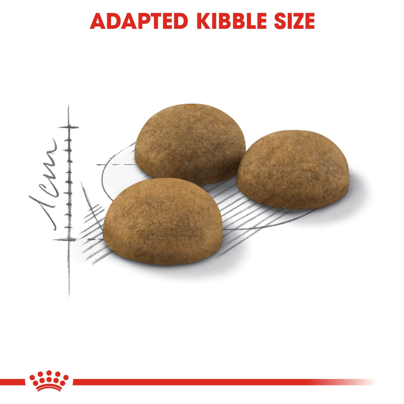 Indoor Long-Hair Royal Canin Adult Cat Food