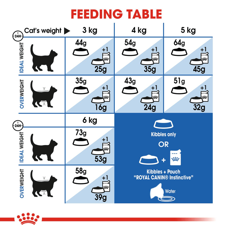 Indoor Long-Hair Royal Canin Adult Cat Food