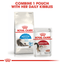 Indoor Long-Hair Royal Canin Adult Cat Food