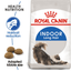 Indoor Long-Hair Royal Canin Adult Cat Food