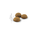 Indoor Long-Hair Royal Canin Adult Cat Food
