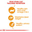 Intense Beauty Wet Jelly 85g Royal Canin All Breeds Adult Cat Food