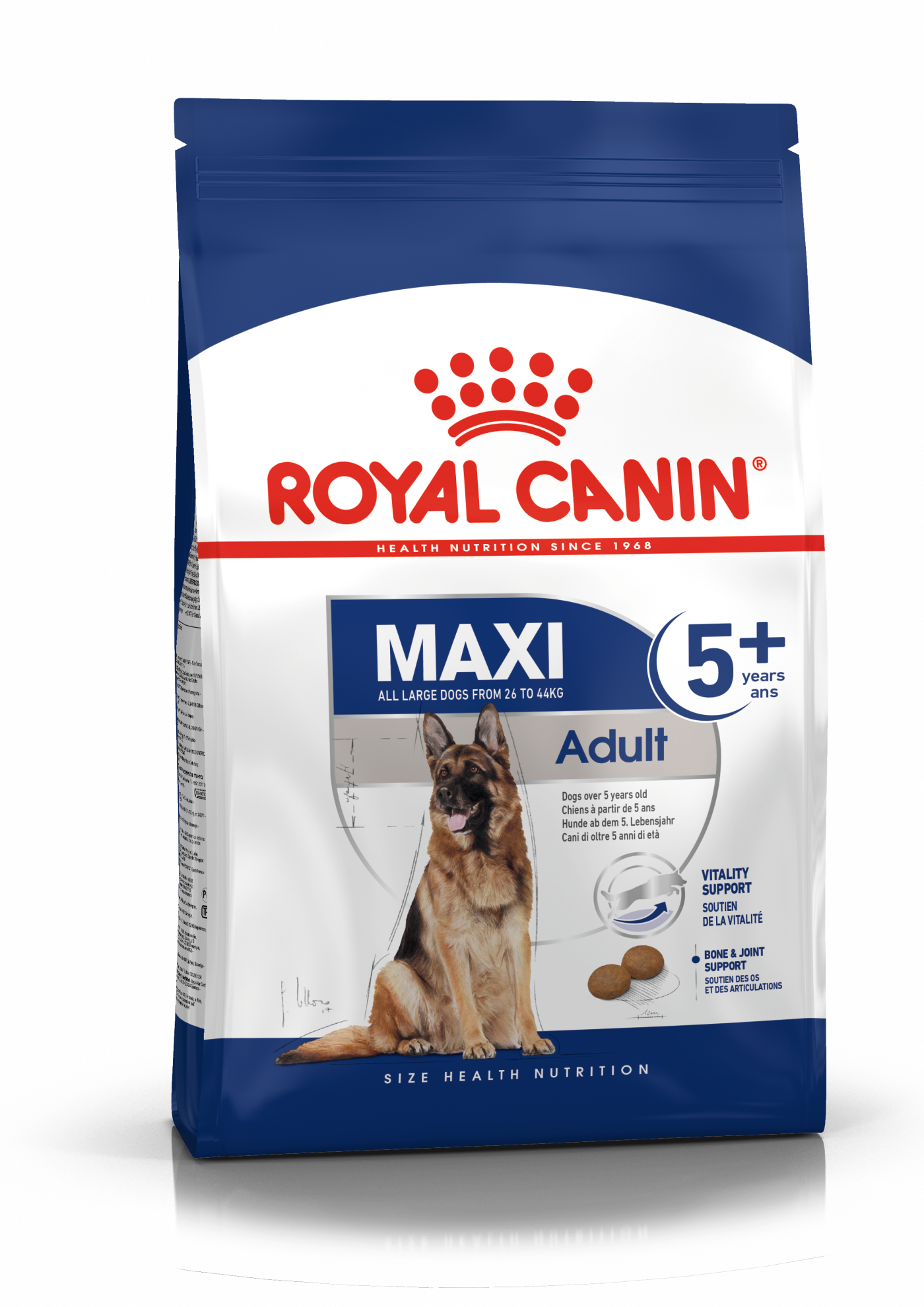 Maxi 5+ Royal Canin Large Breed Mature Dog Food