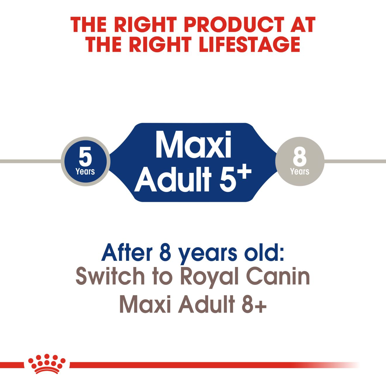 Maxi 5+ Royal Canin Large Breed Mature Dog Food