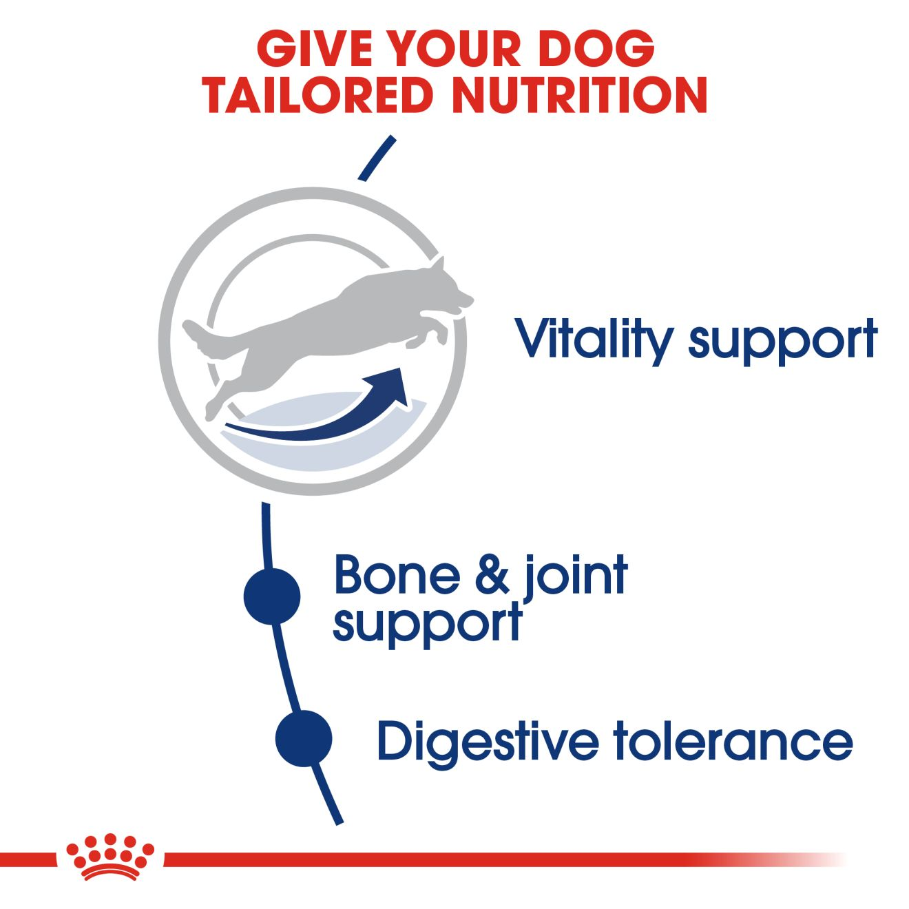 Maxi 5+ Royal Canin Large Breed Mature Dog Food
