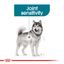 Maxi Joint Care Royal Canin Large Breed Adult Dog Food