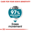Maxi Joint Care Royal Canin Large Breed Adult Dog Food