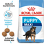 Maxi Royal Canin Large Breed Puppy Food