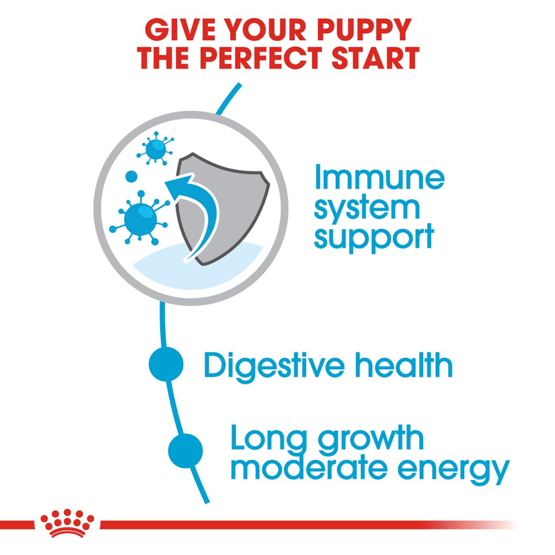 Maxi Royal Canin Large Breed Puppy Food