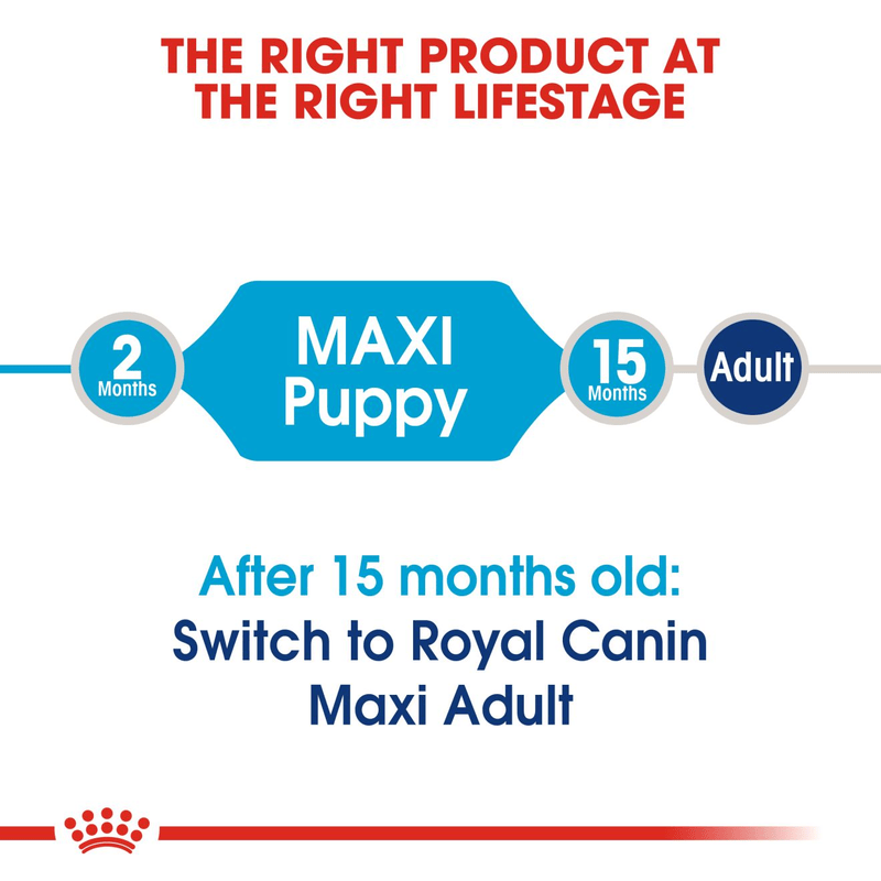 Maxi Royal Canin Large Breed Puppy Food