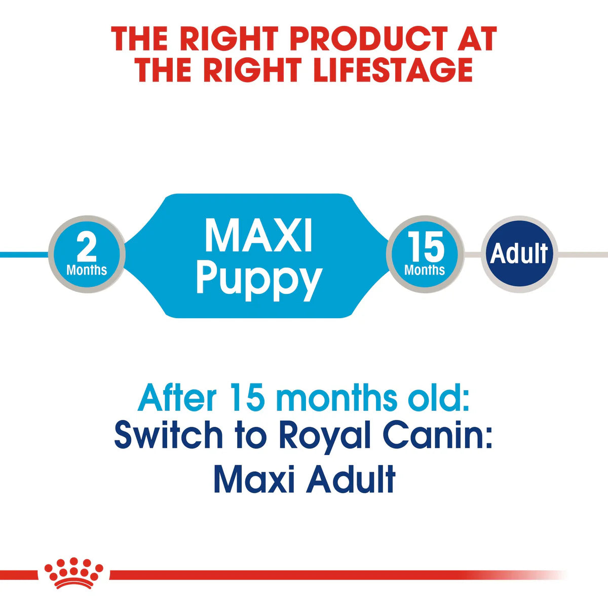 Maxi Puppy Wet Gravy 140g Royal Canin Large Breed Dog Food