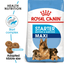Maxi Starter Royal Canin Large Breed Mother & Babydog Food