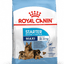 Maxi Starter Royal Canin Large Breed Mother & Babydog Food
