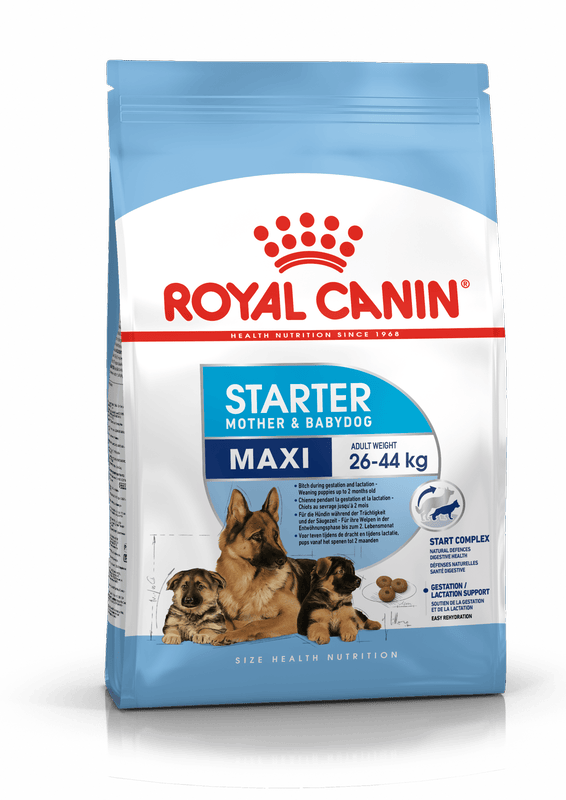 Maxi Starter Royal Canin Large Breed Mother & Babydog Food